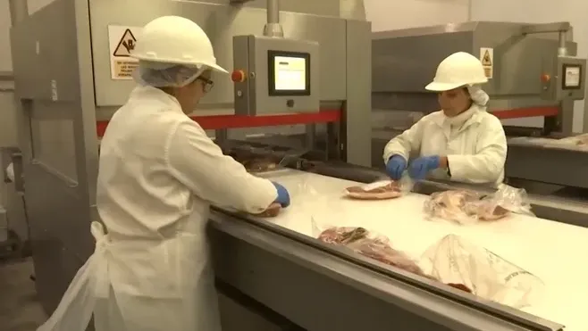 carne-frigorifico
