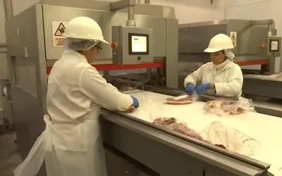 carne-frigorifico