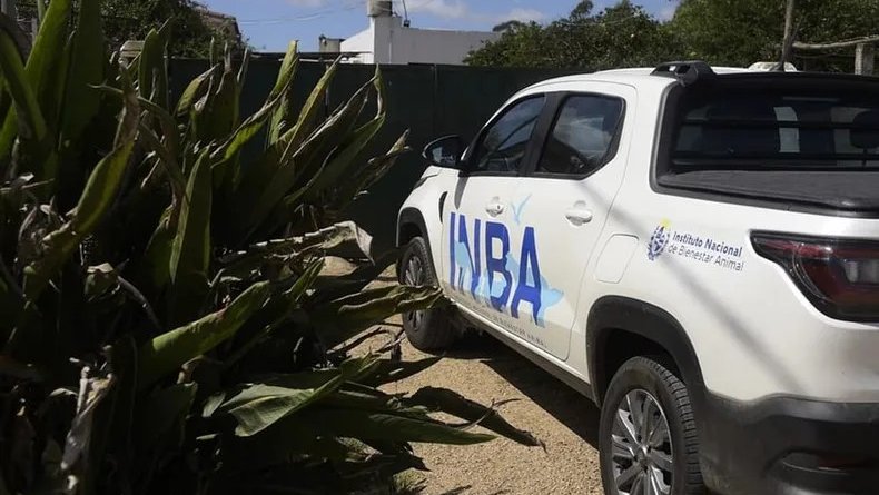 inba-bienestar-animaljpg
