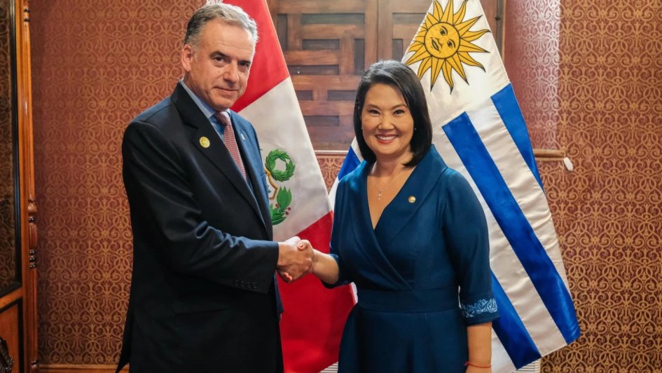 orsi_fujimori (1)