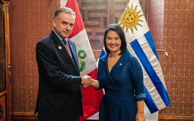 orsi_fujimori (1)